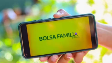 bolsa familia celular 32