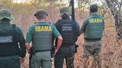 ibama