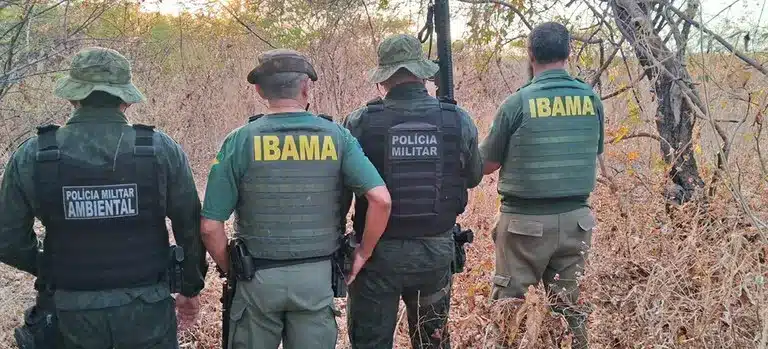 ibama