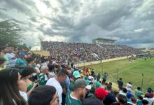 marizao torcida