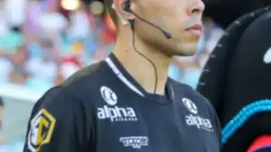 abritro bruno fernandez