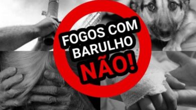 fogos