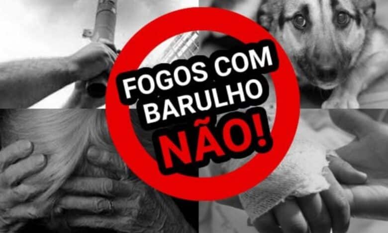 fogos