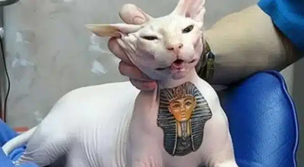 tatuagem