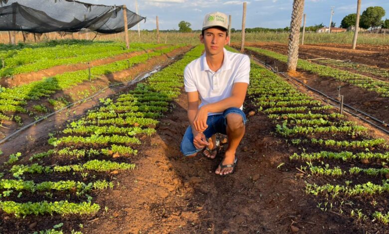 apodi agricultor