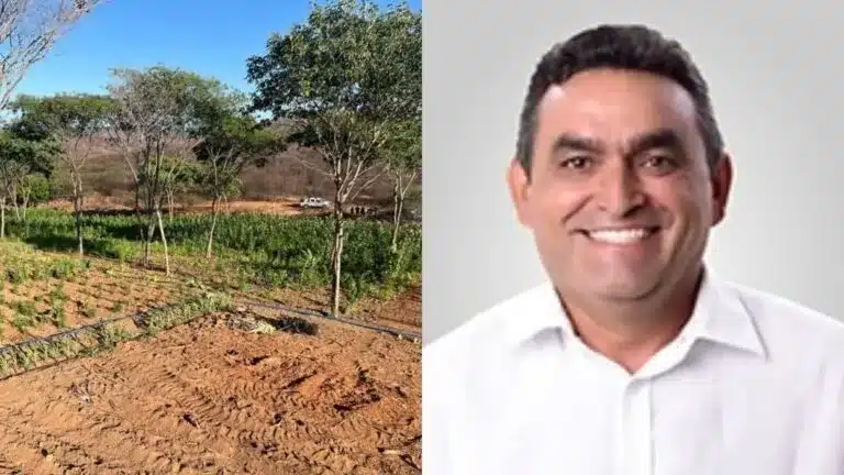 sergiodelevieras