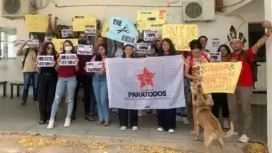 estudantes