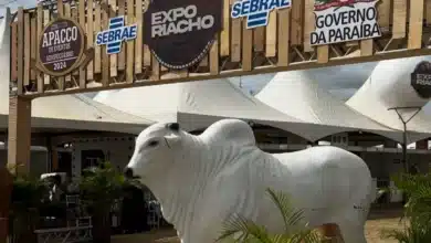 exporiacho