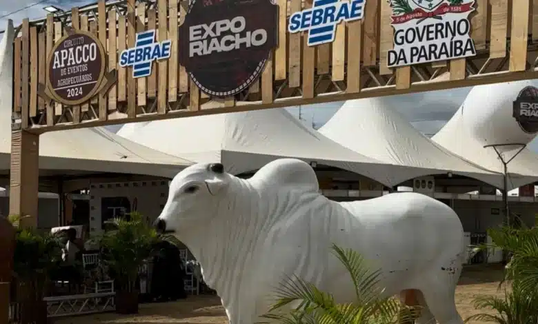 exporiacho