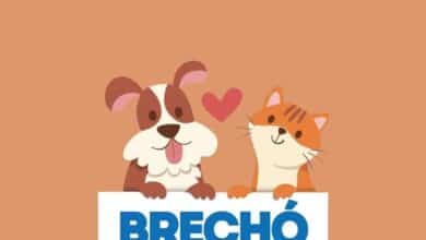 brechó