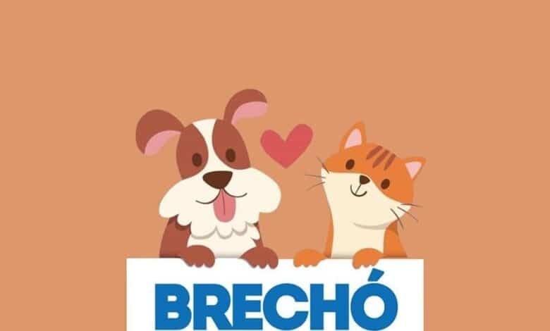 brechó