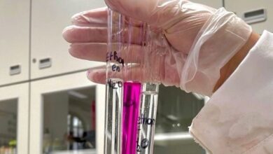 metanol pesquisa uepb e1759594160114