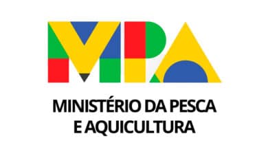 ministerio da pesca