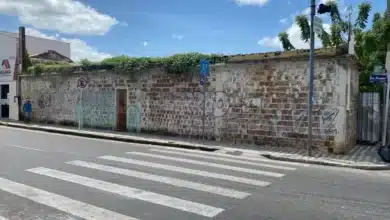 terreno patos