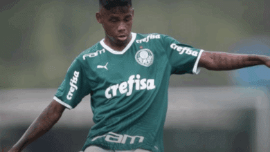 atacante nacional palmeiras