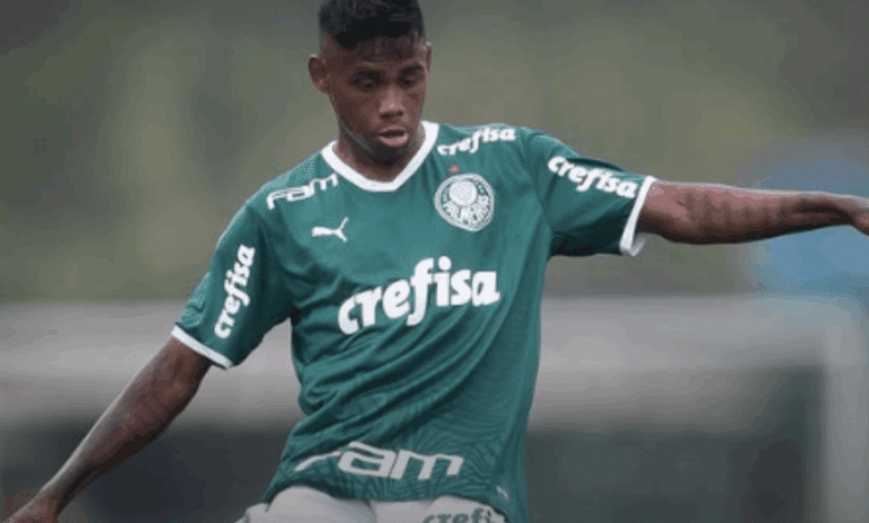 atacante nacional palmeiras