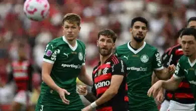 flamengo x palmeiras