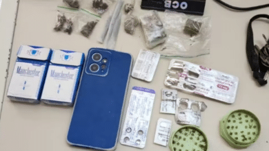 drogas professor pdf