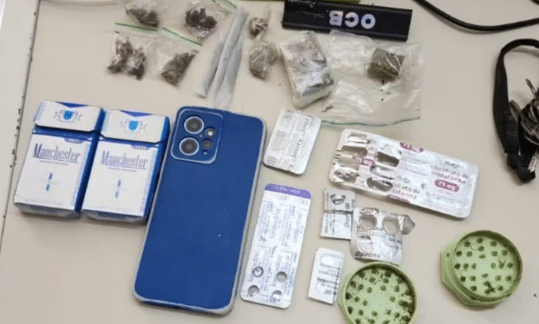 drogas professor pdf