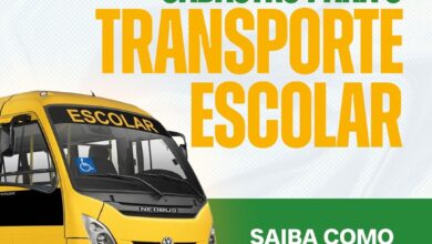 transporte escolar