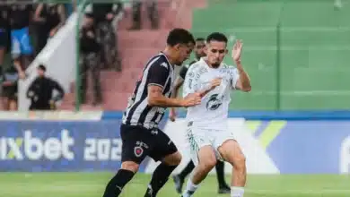 botafogo pb x sousa.jpg
