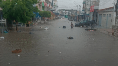 pau dos ferros chuva