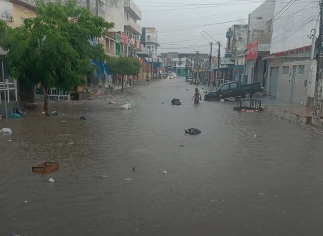 pau dos ferros chuva