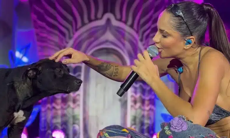 michele andrade e caja