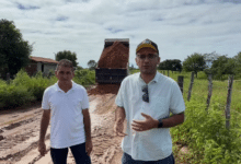 tales estrada
