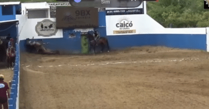 cavalo