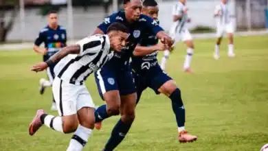 treze serie d.jpg