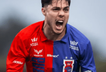 vinicius michelon