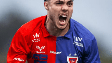 vinicius michelon