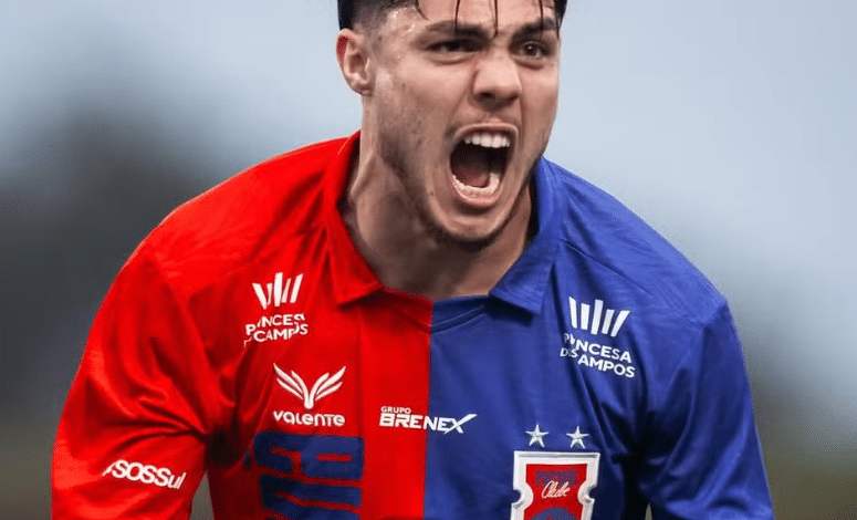 vinicius michelon