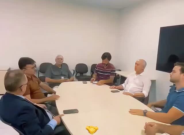 galego brejo