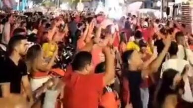 lula alexandria